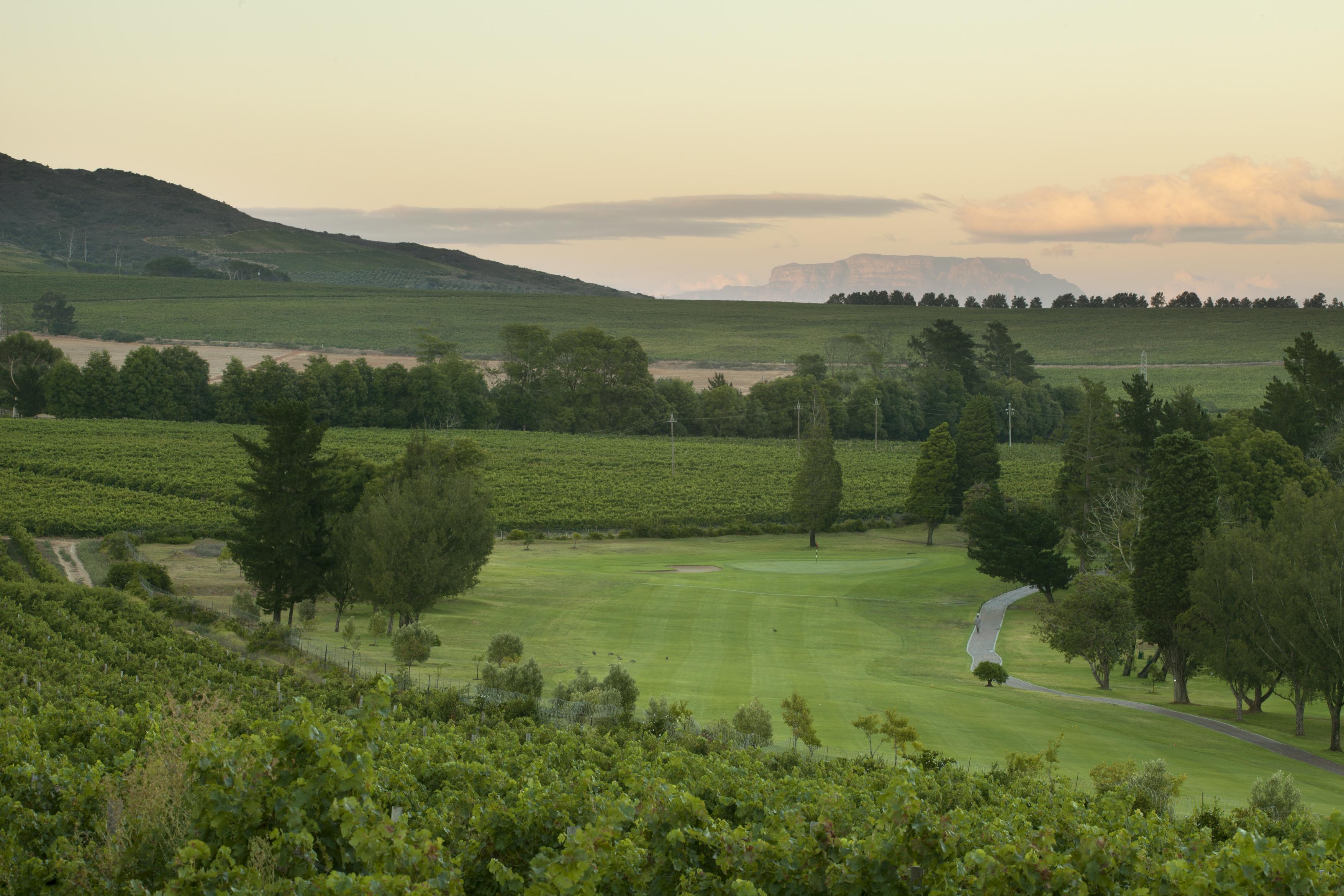 מלון סטלנבוש Devonvale Golf & Wine Estate מראה חיצוני תמונה