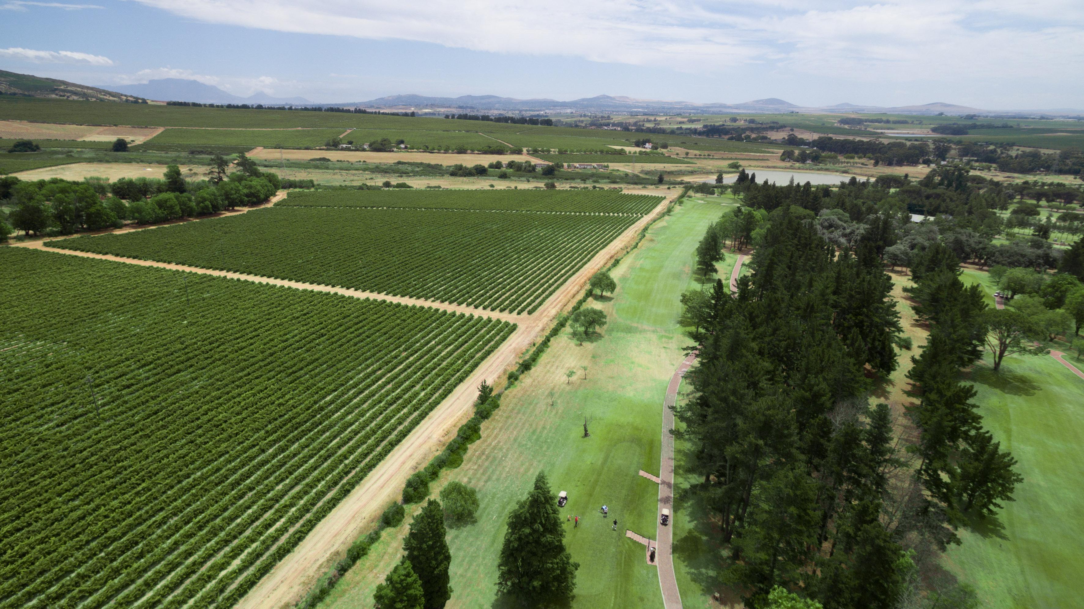 מלון סטלנבוש Devonvale Golf & Wine Estate מראה חיצוני תמונה